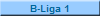 B-Liga 1